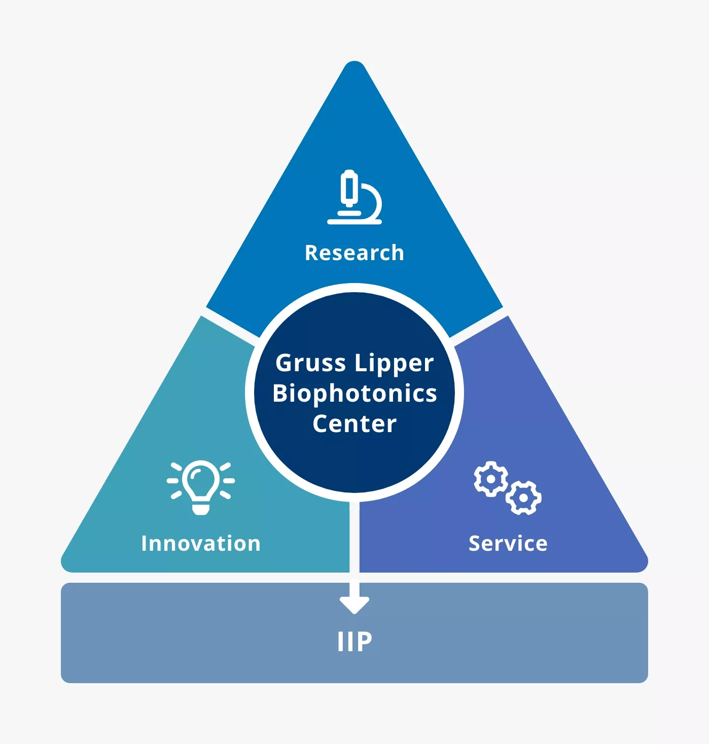 IIP triangle diagram boxed