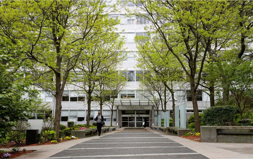 Institute for Neuroimmunology and Inflammation