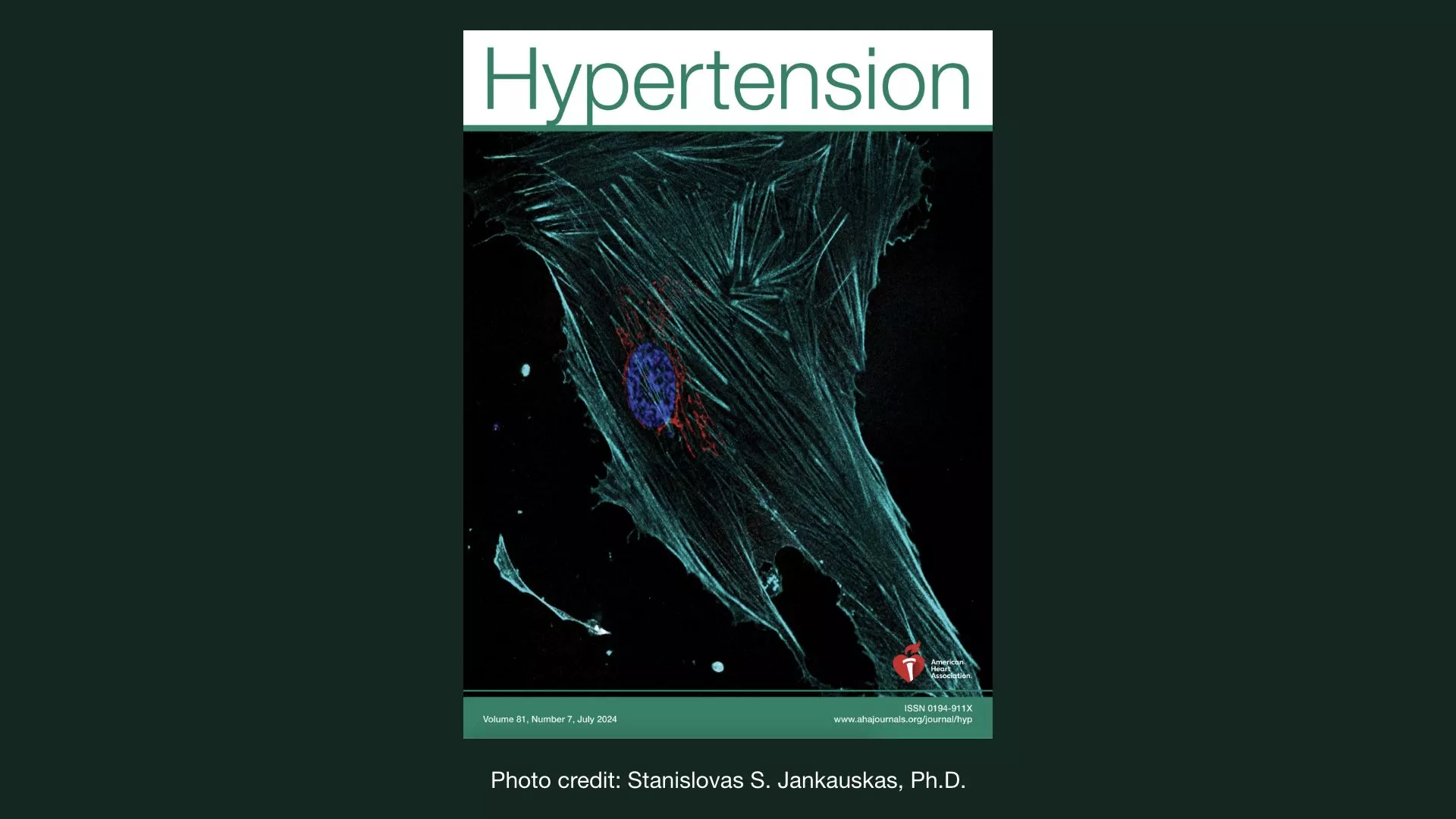 gaetano-santulli-combatting