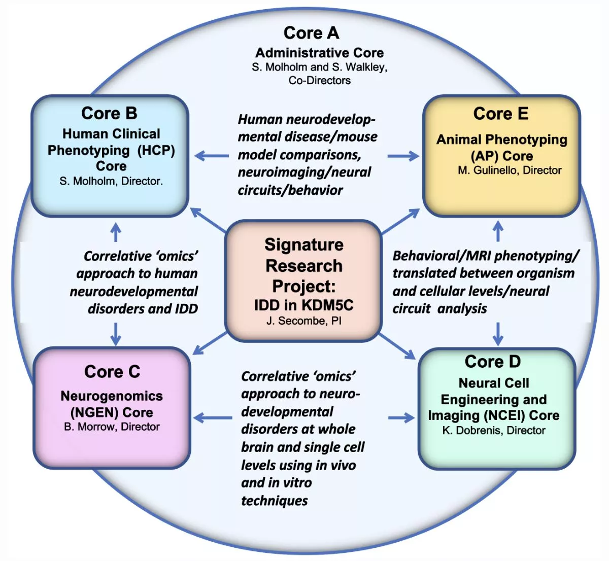 iddrc-core-core-interactions