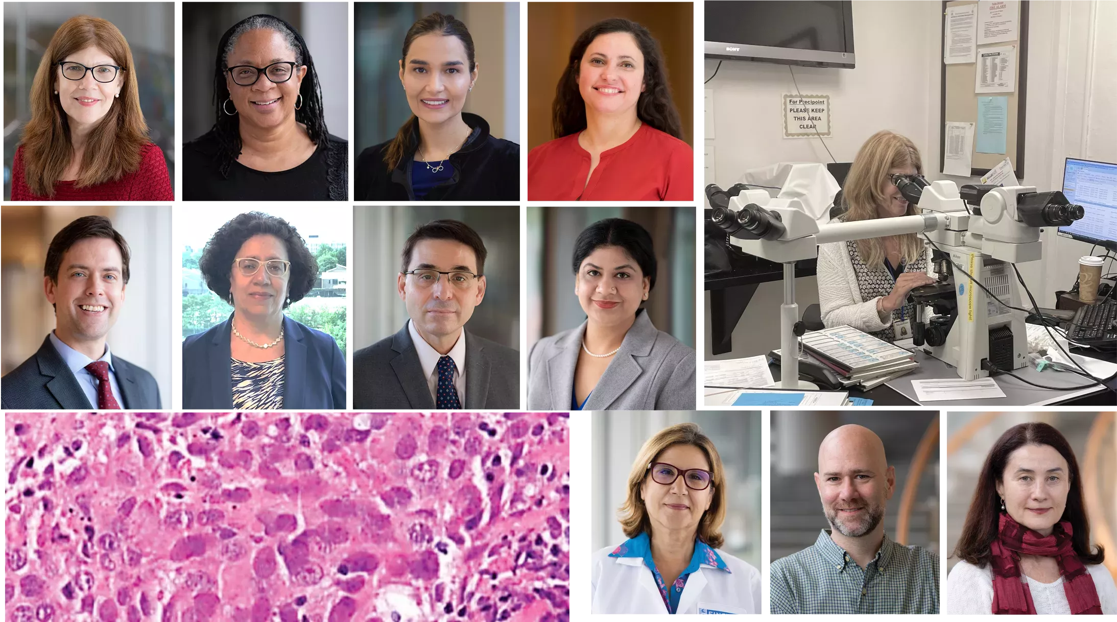 Celebrating Pathology’s Role in Breast Cancer Diagnosis and Research