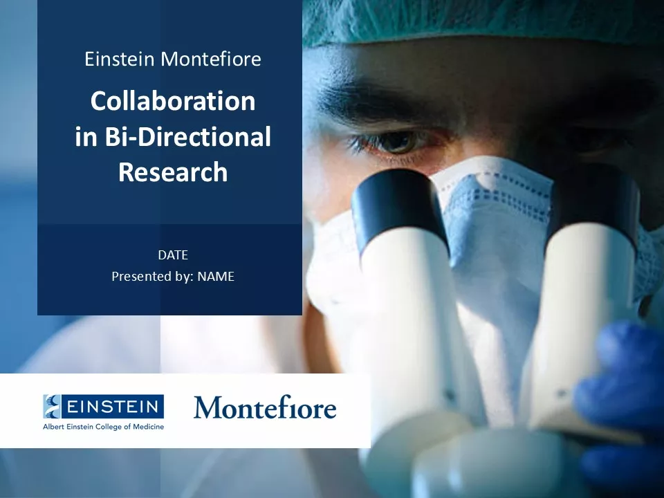 Research Horizontal Sample 1 Template