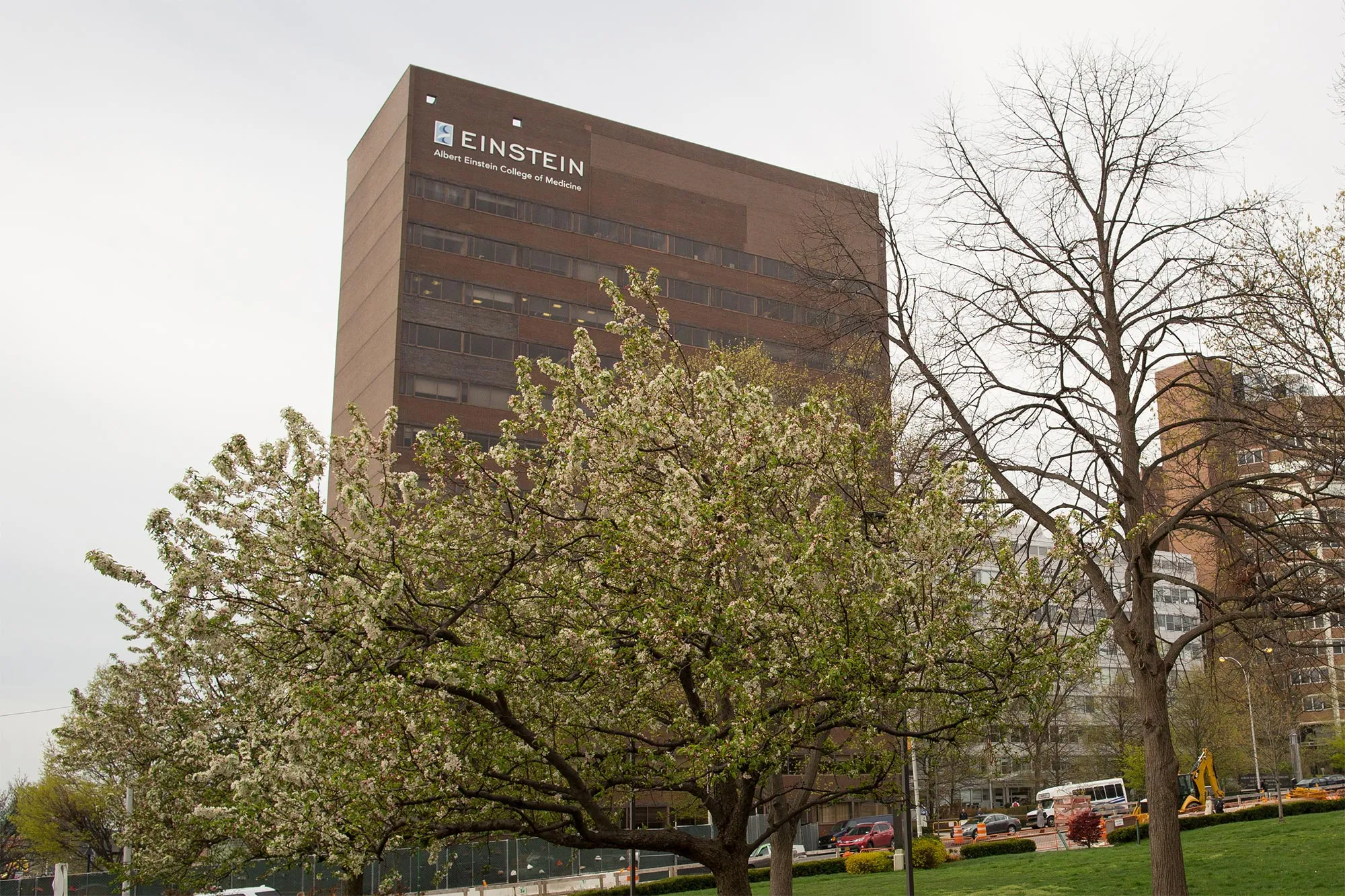 Belfer Building