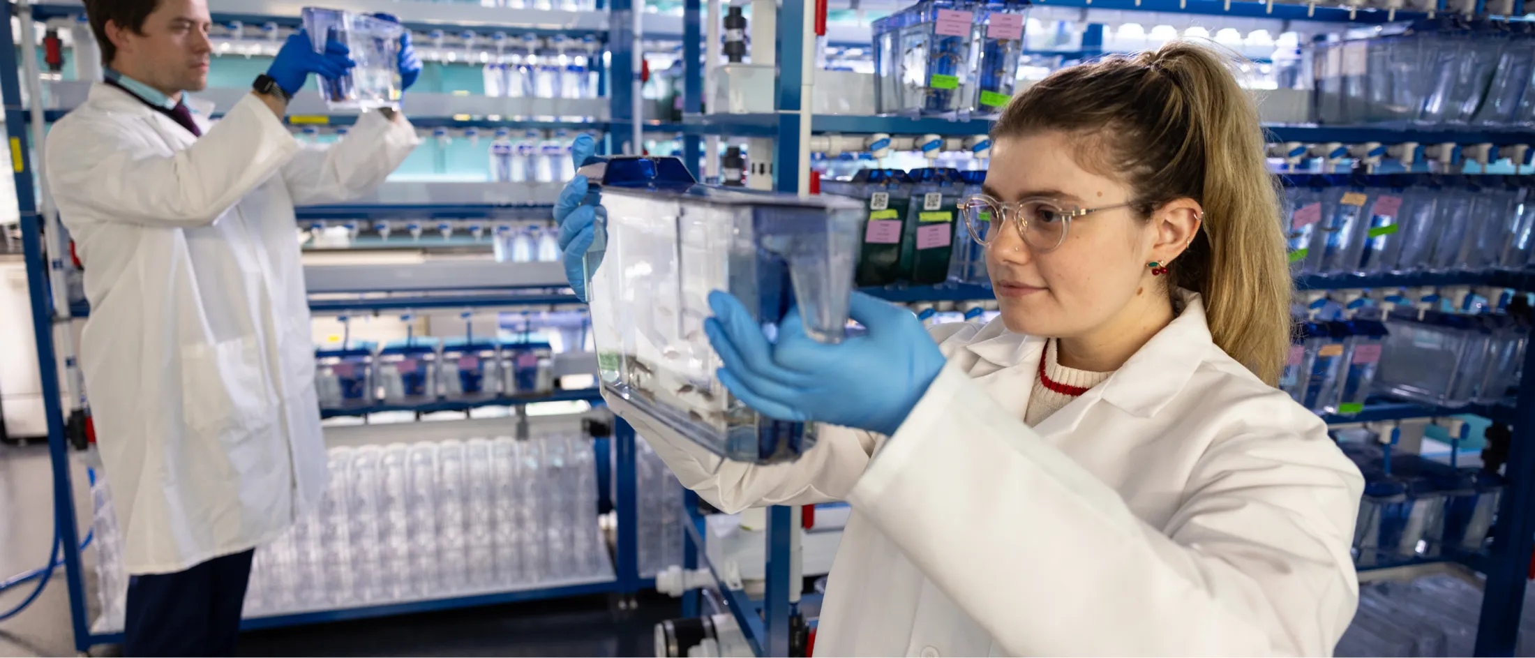 clinical-research-training-user-system-access