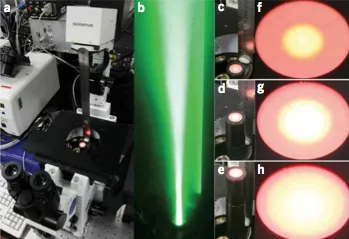 microscopy