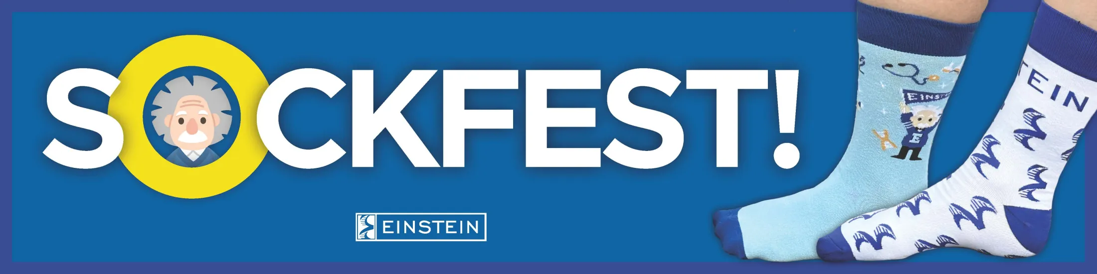sockfest web banner