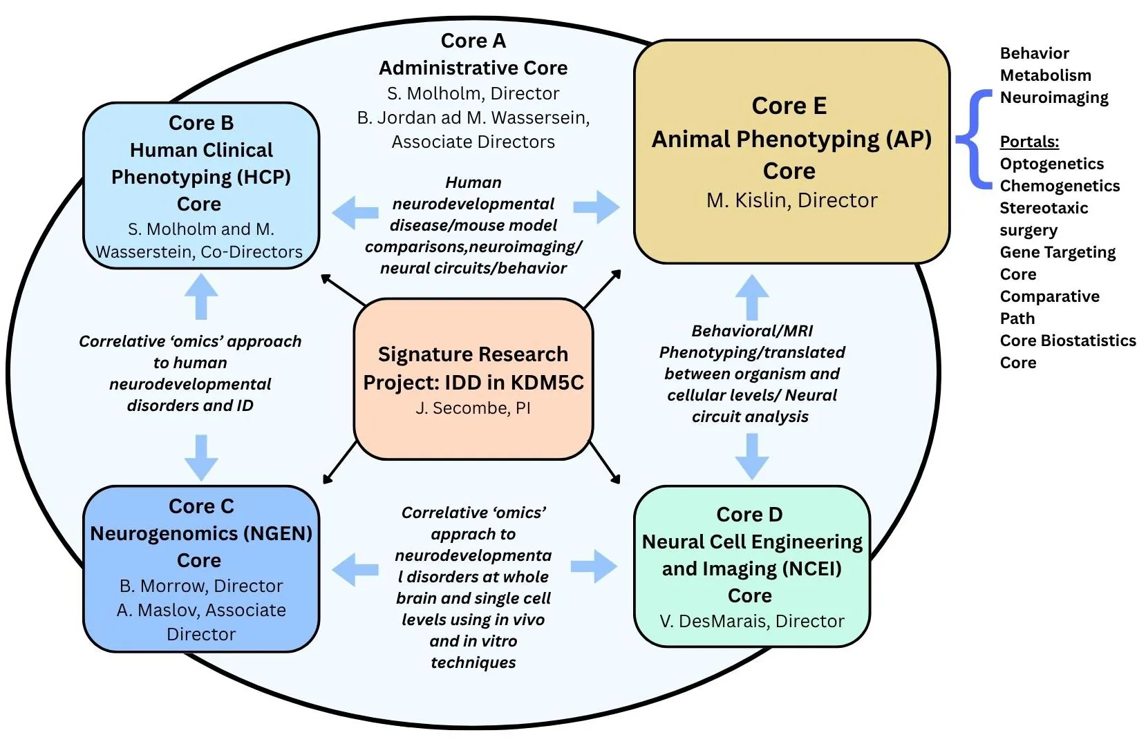 IDDRC Animal Phenotyping Core