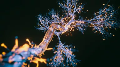 Neuron Cell Close-Up