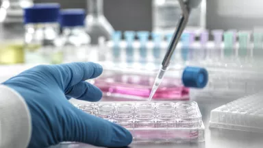 department microbiology Immunology research