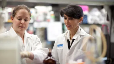 Faculty mega menu image