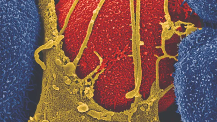 EM_monica-6039119-color2