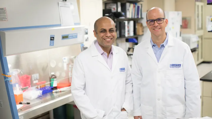 Cell Biology Highlights