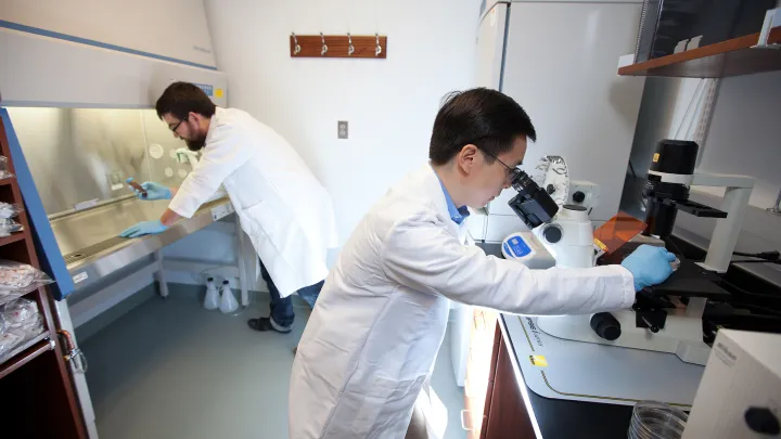 Cell Biology Research Areas