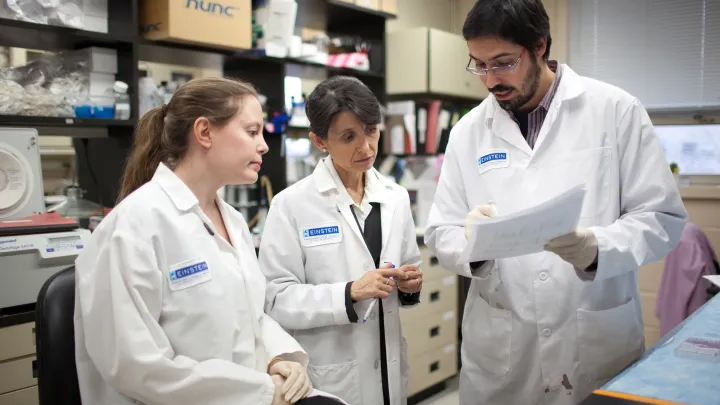 Geroscience Research