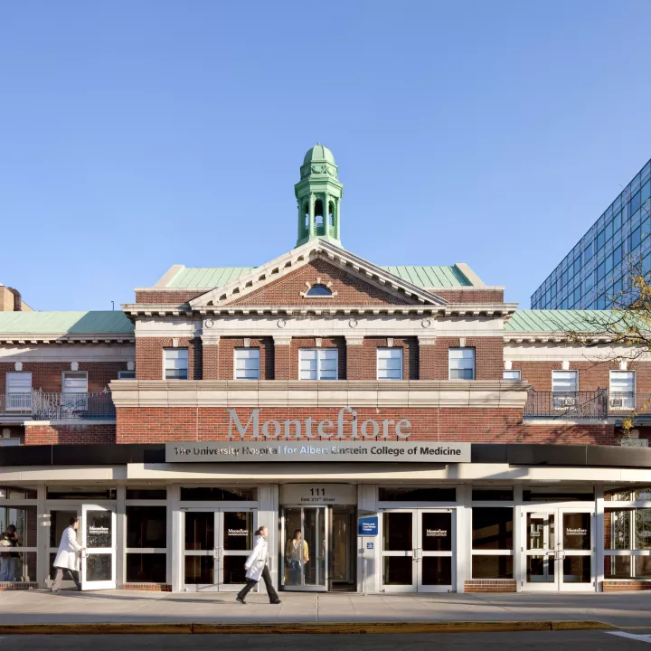 Montefiore Building - Moses