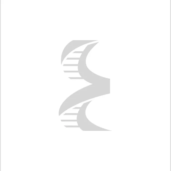 Placeholder - NoImage