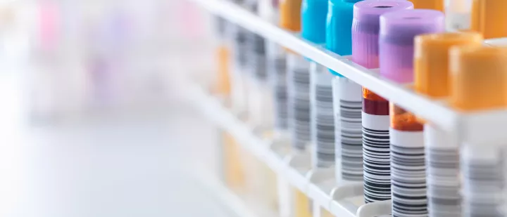 gettyImages-482186655-resized (1)