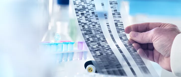 gettyImages-685027113-resized