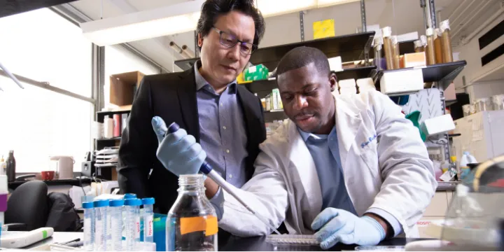 find-a-faculty-mentor