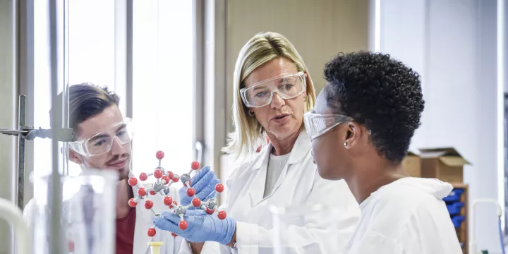 summer-scholarly-fellowship