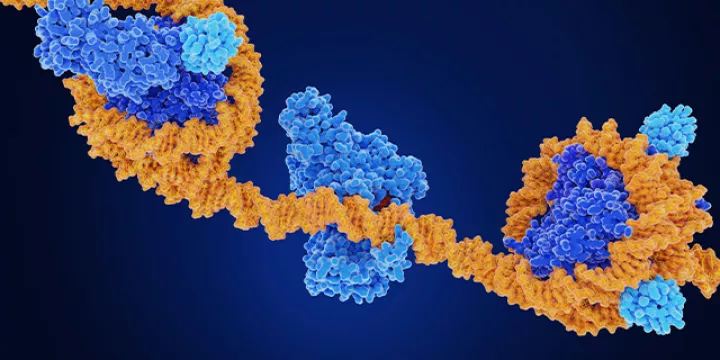 chromatin-and-transcription-regulation