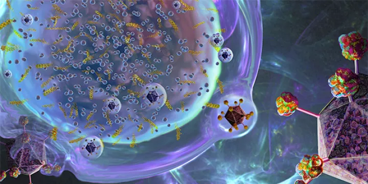 immunology-and-virology