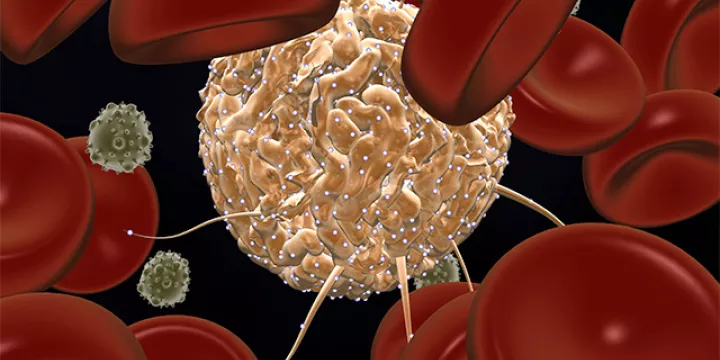 stem-cell-dev