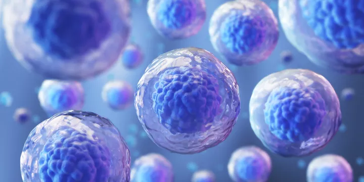 Embryonic stem cell illustration