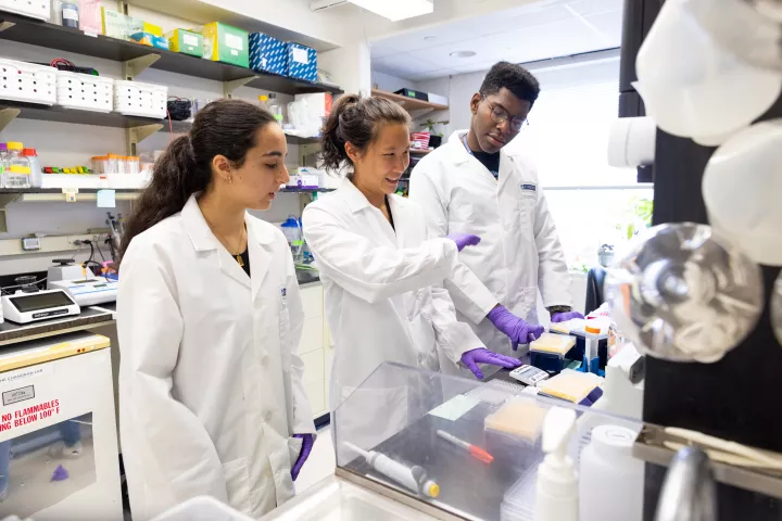 chandran-lab-west-point