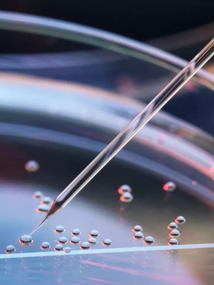 Graduate Program (PhD)