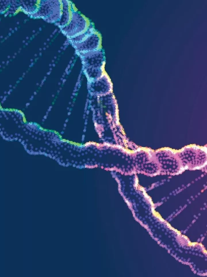 IDD Gene Team Card Image