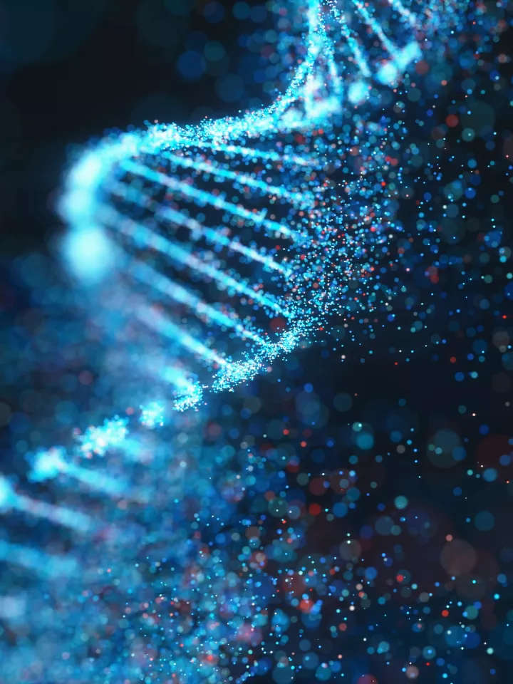Stem Cell Genomics