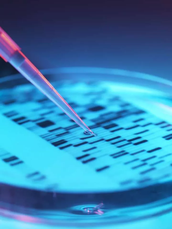 research-division-of-critical-care