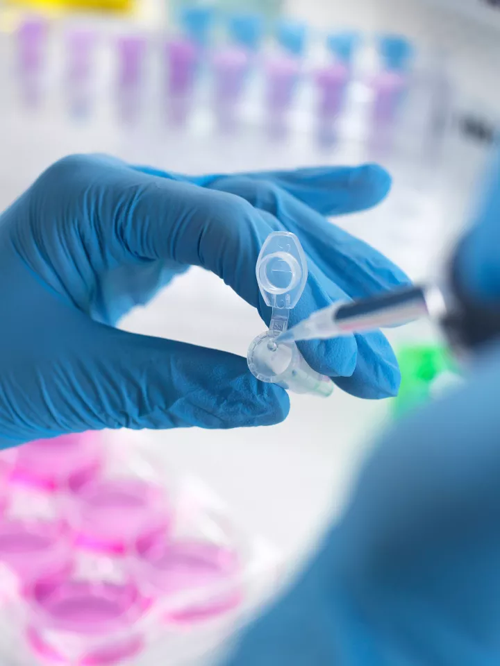 gettyimages-1150962749-resized