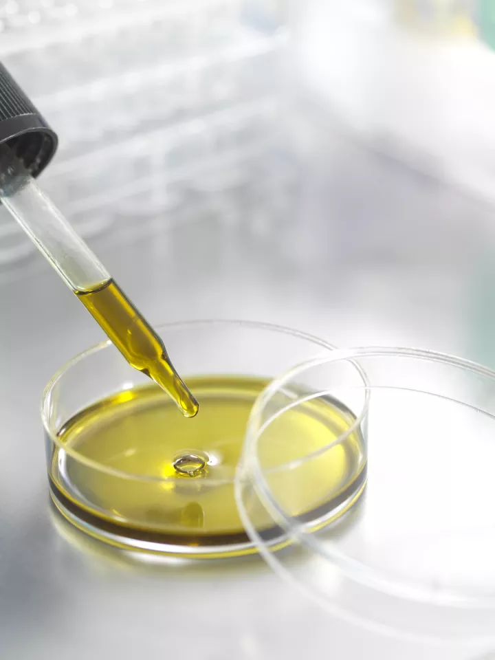 gettyImages-1338820888