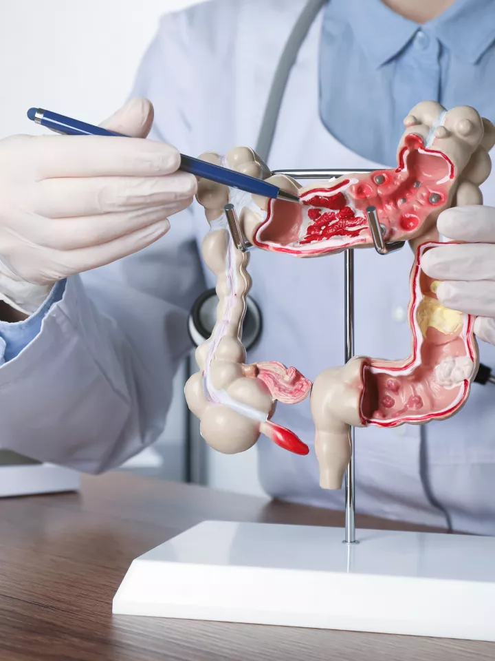 gastroenterology-doctor