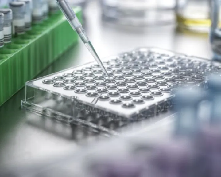 understanding_the_mechanisms_of_metastasis