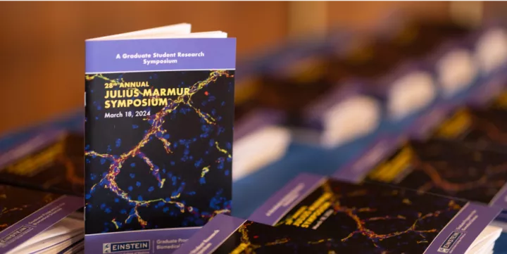 Print and Digital Design