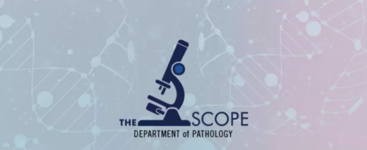 The Scope Newsletter