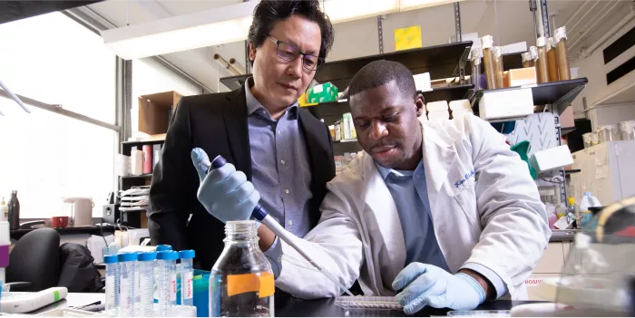 find-a-faculty-mentor