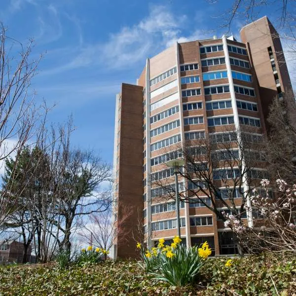 Patient care ullmann building
