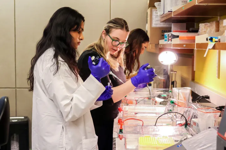 Deyou Zheng Lab Members