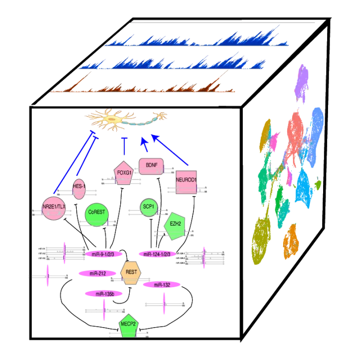 Lab Research
