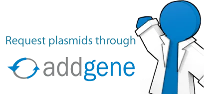 AddGene