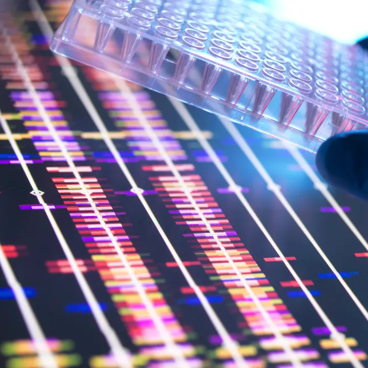 Cell Molecular Biology Genetics Training Program