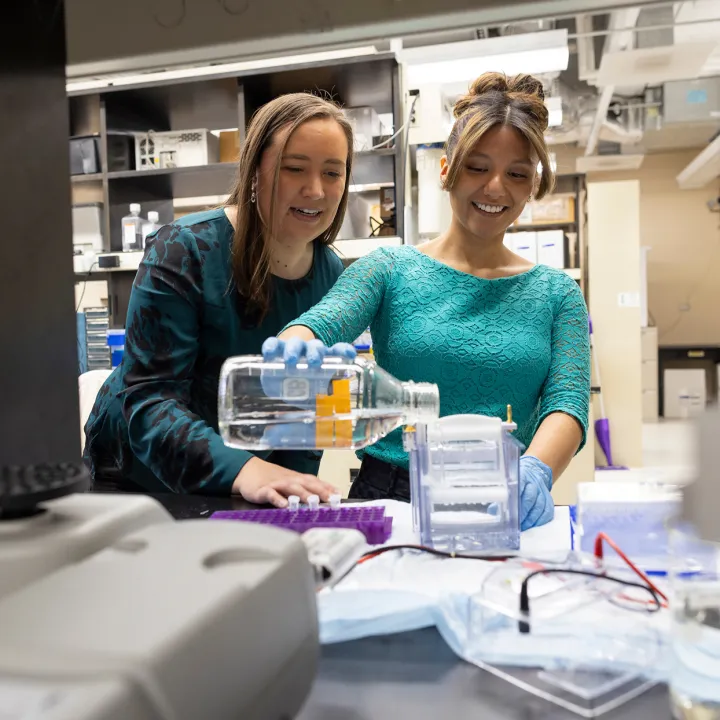 Faculty Testimonials