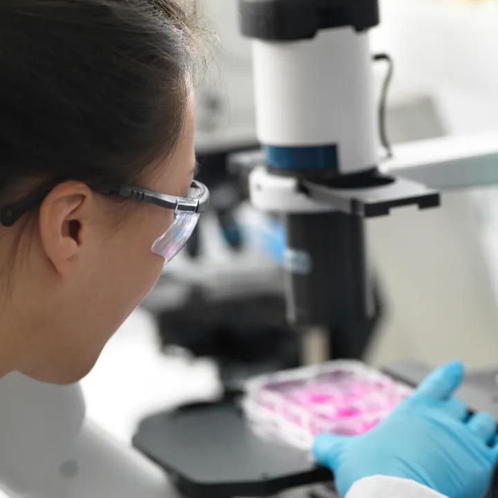 PhD Studies in Cell Biology