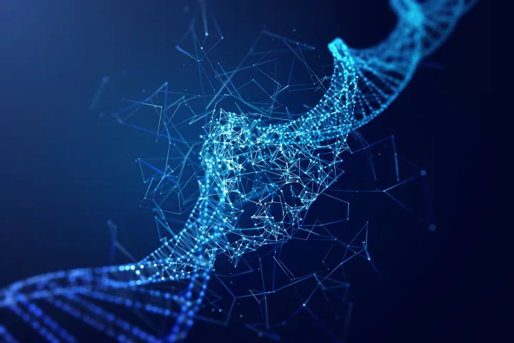 Functional Genomics Genomic Maintenance in Againg
