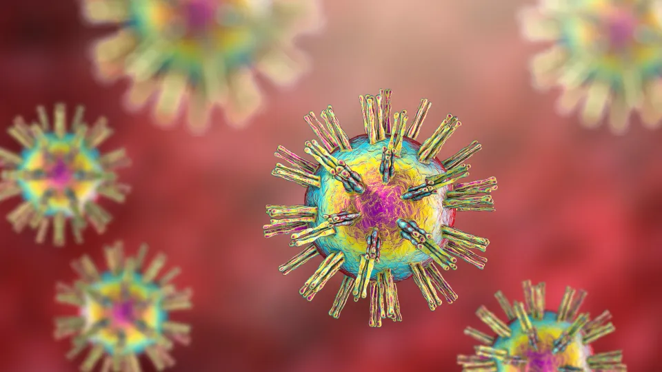 Herpes simplex virus, illustration