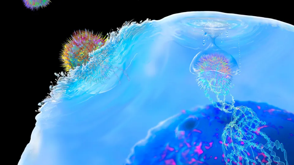 CAR T cell immunotherapy